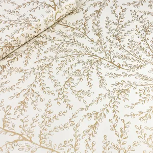 Concorde - Latte/Gold
