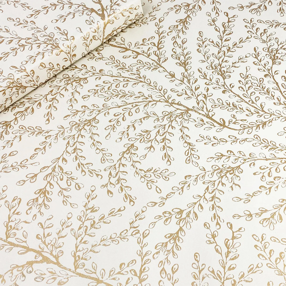 Concorde - Latte/Gold