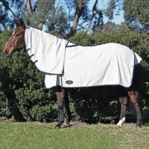 Eurohunter Grand National Light ll Combo
