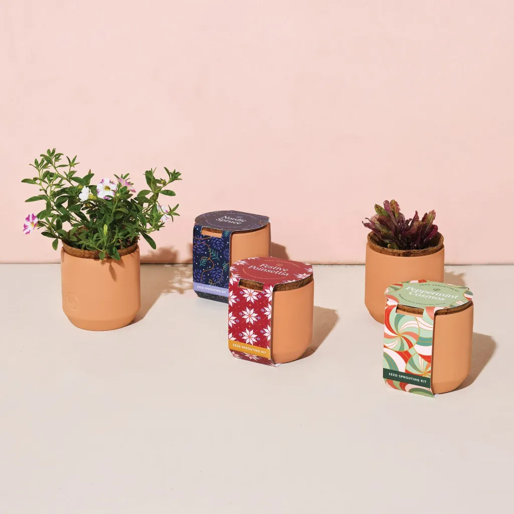 Tiny Terracotta Kit (Festive Poinsettia)