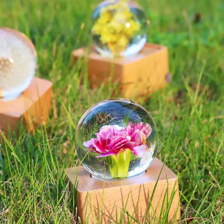 Unique Hot Item Novelty Gifts-ضاءة ليلية